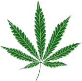 OHM Store Cannabis Leaf