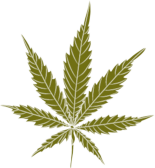 OHM Store Cannabis Leaf 3