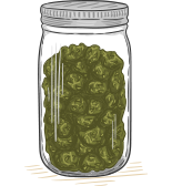 Weed In A Jar Doodle 2